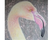 Flamingo Project-min Featured Art of Week