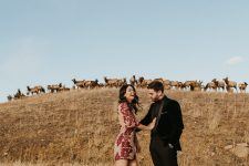 Brad Hart | Wedding Photographer | Mishkalo