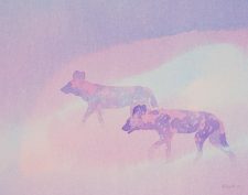 Moonrise | Wildlife Painting | Alison Nicholls | Mishkalo
